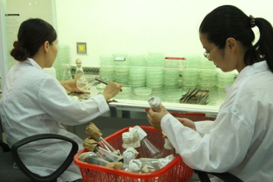Lỗ hổng trong ứng dụng khoa học vào Đăng ký và nhận 60K 24 bao lì xì miễn phí mỗi ngày